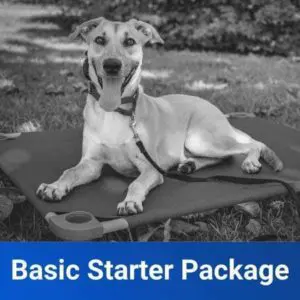 Basic Obedience Starter Package