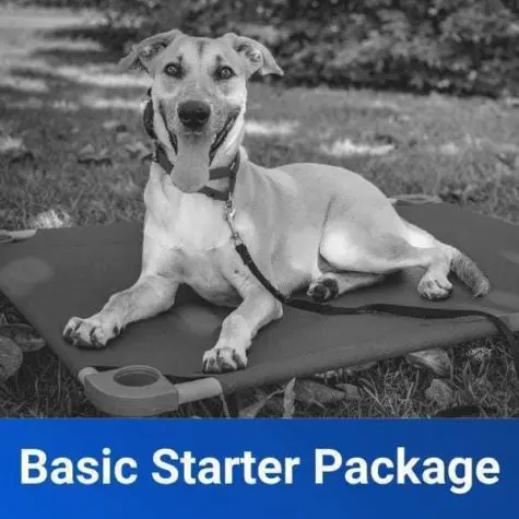 Basic Obedience Starter Package