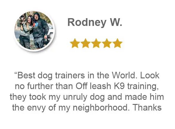 best dog trainers in the world. Look no further than off leash k9 training