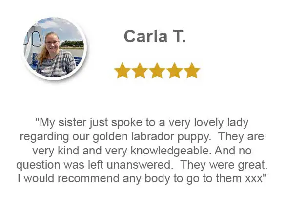 my sister just spoke to a very lovely lady regarding our golden labrador puppy. They are very kind and very knowledgeable. And no question was left unanswered. They were great. I would recommend any body to go to them xxx