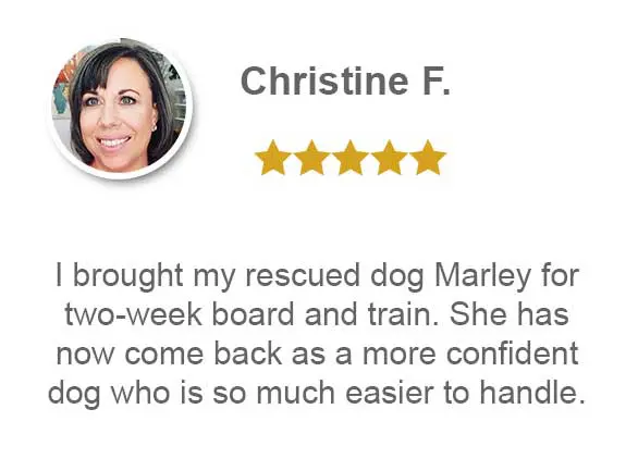 i brought my rescued dog marley for two-week board and train. She has now come back as more confident dog who is so much easier to handle.
