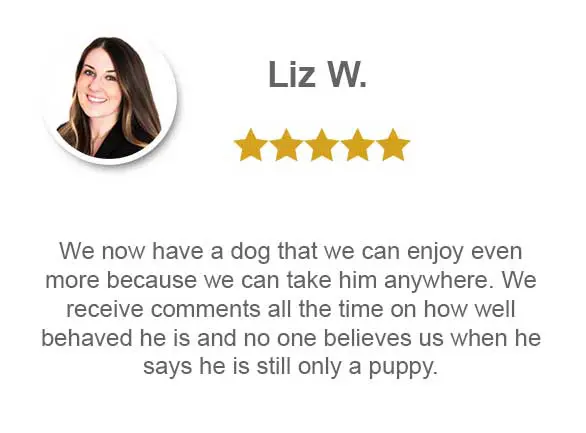 we now have a dog that we can enjoy even more because we can take him anywhere