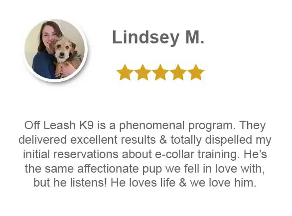 off Leash K9 isa phenomenal program. They delivered excellent results & totally dispelled my initial reservations about e-collar training. He's the same affectionate pup we fell in love with but he listens! he loves life & we love him.