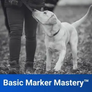 Basic Marker Mastery™