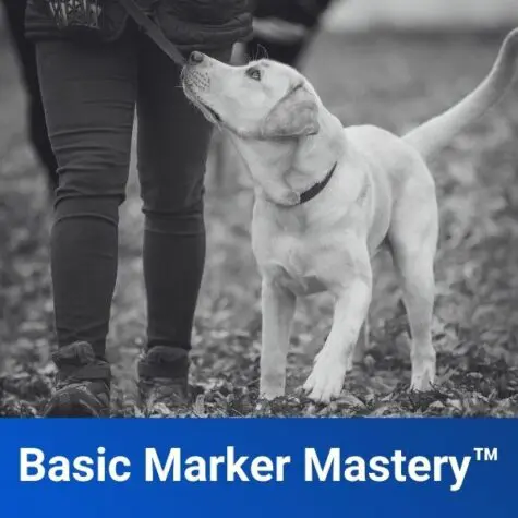 Basic Marker Mastery™